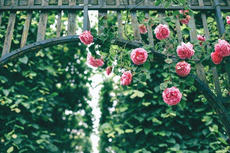 Jardins Harmonie Provence