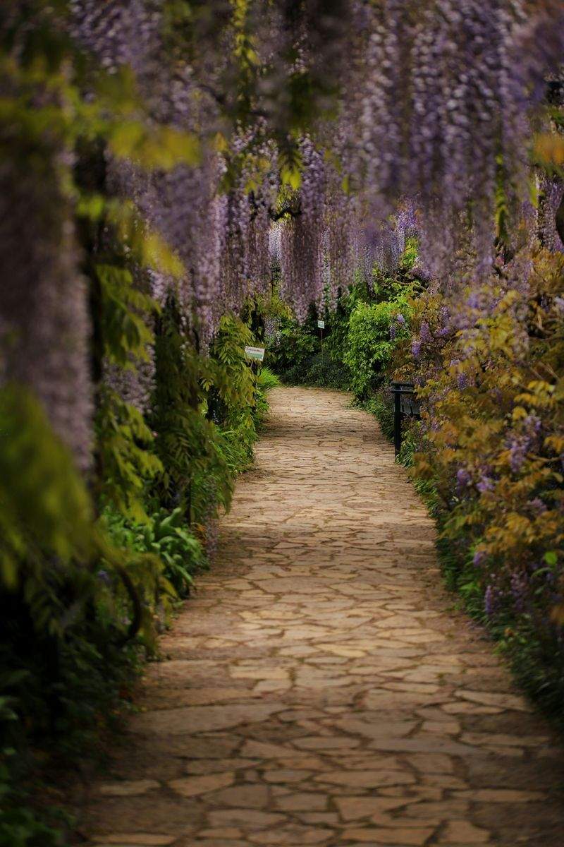 Jardins Harmonie Provence 15